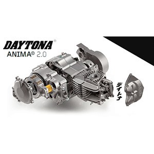 RESSORT D'ARBRE A CAME DÉCOMPRESSEUR DAYTONA ANIMA 150/190 