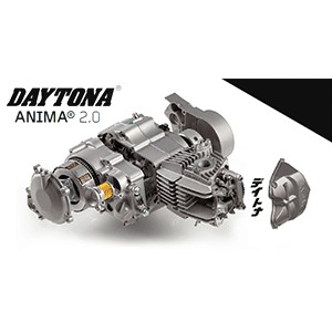 JOINT DE CARTER D'EMBRAYAGE DAYTONA ANIMA 150/190